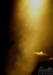 neckbreakersball_tour_mmc_2011_danko-6