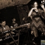 jazztronik-live-67-800x600