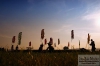 pohoda_2011_karell_musicpress-116