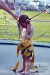 pohoda_2011_karell_musicpress-121