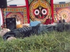 punkaci_detom2011_danko-12