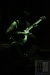 rammstein_2011_ba_musicpress_karell-23