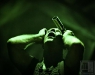 rammstein_2011_ba_musicpress_karell-30