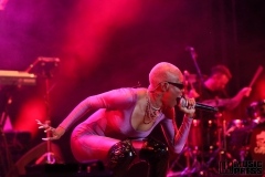 Arsenal-Festival-36