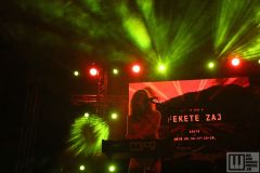 Fekete Zaj Fesztivál 2019 / photo by: Musicpress.sk