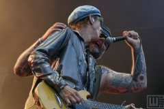 OFF Festival 2018 / photo by: David MJRSK