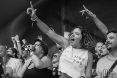Sziget festival 2019 / photo by: Adriána Šedová