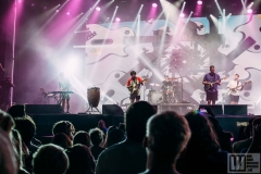 Sziget festival 2019 / photo by: Adriána Šedová