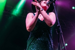 Sziget festival 2019 / photo by: Adriána Šedová