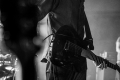 the-young-gods-09078-Kopirovat