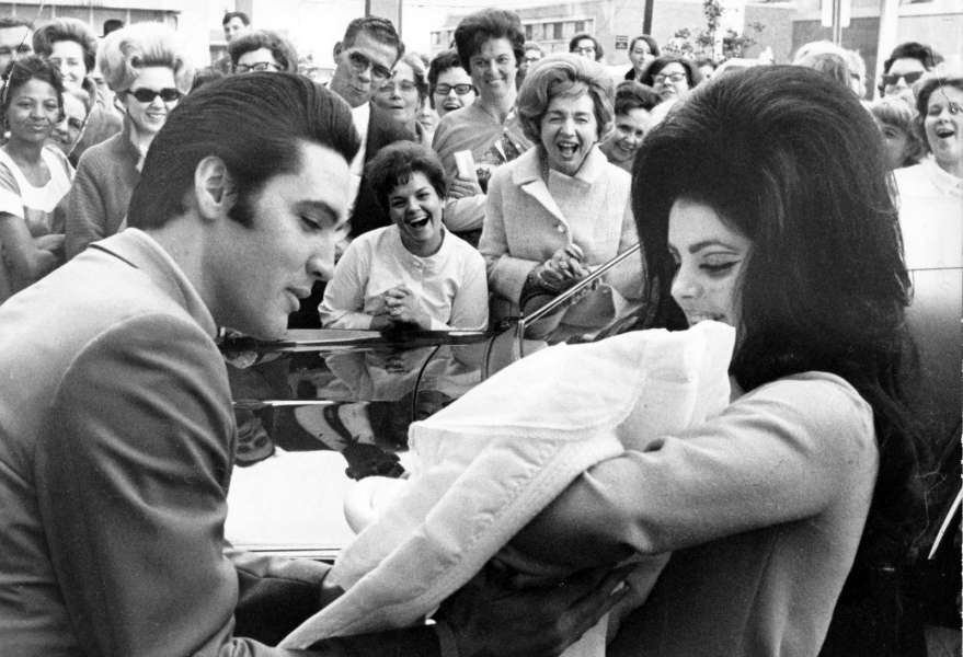 Elvis