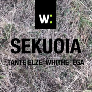 Sekuoia-vizual 31.1.2015