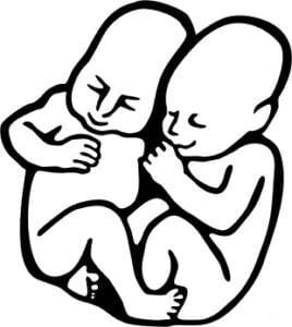 pohoda_festival_logo_babatka_3